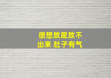 很想放屁放不出来 肚子有气